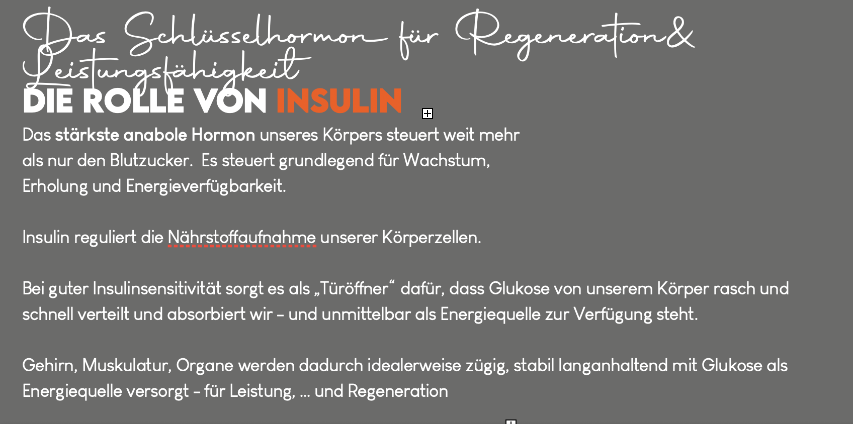 Beschreibung des Bildes